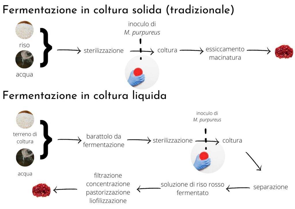 produzione riso rosso fermentato