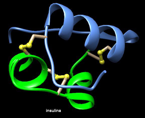 Immagine della molecola dell'insulina - Insulino resistenza