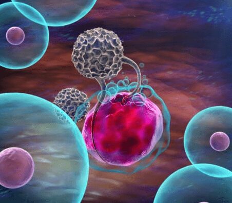 Figura 2 – Un linfocita Natural Killer che aggredisce una cellula cancerosa [Fonte: Le Scienze]. - Cos'è il microbiota