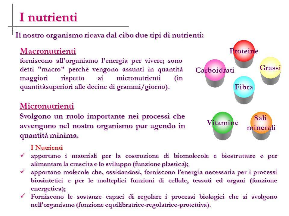 Figura 1 - Cosa mangiare per combattere un'infezione batterica? ci vengono in aiuto i macronutrienti ed i micronutrienti presenti negli alimenti