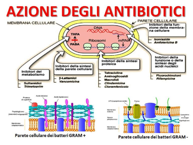 Antibiotici Contro Virus: Possono Essere Realmente Efficaci?