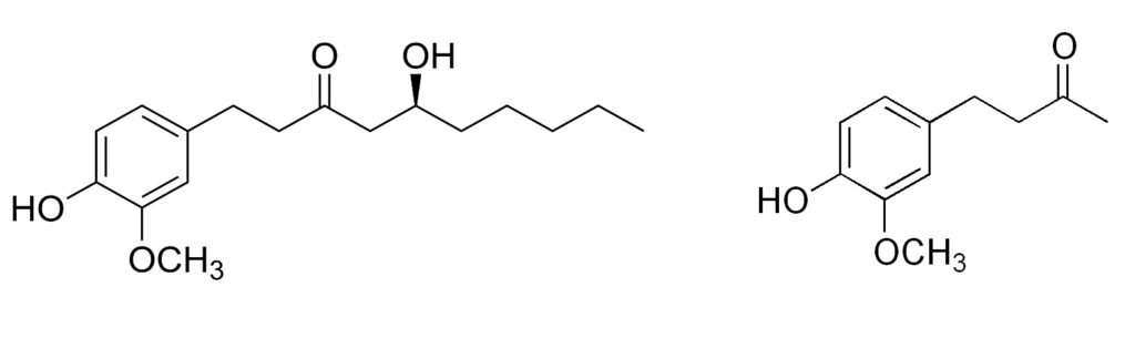 Figura 4 - Rappresentazione di una molecola di gingerolo (a destra) e una di zingerone (a sinistra)