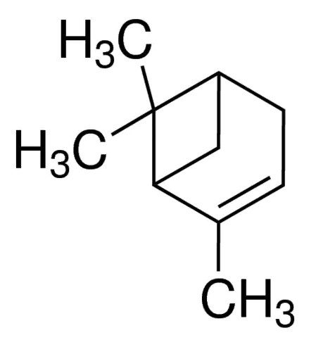 Figura 2 - Immagine che rappresenta la struttura di una molecola di pinene 