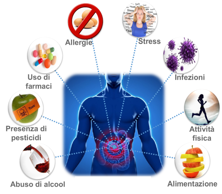 Microbiota Intestinale Umano: Equilibrio E Benessere