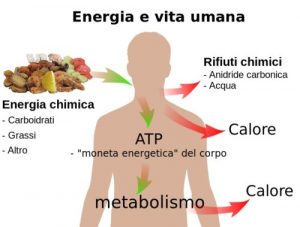 energia e metabolismo del glucosio
