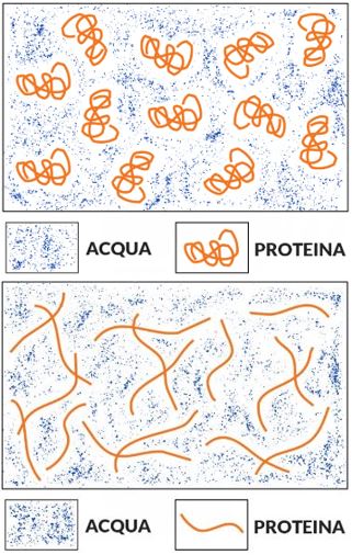 Processo di denaturazione delle proteine: durante la cottura o tramite agitazione meccanica, i "gomitoli" si srotolano e cominciano ad aggregarsi