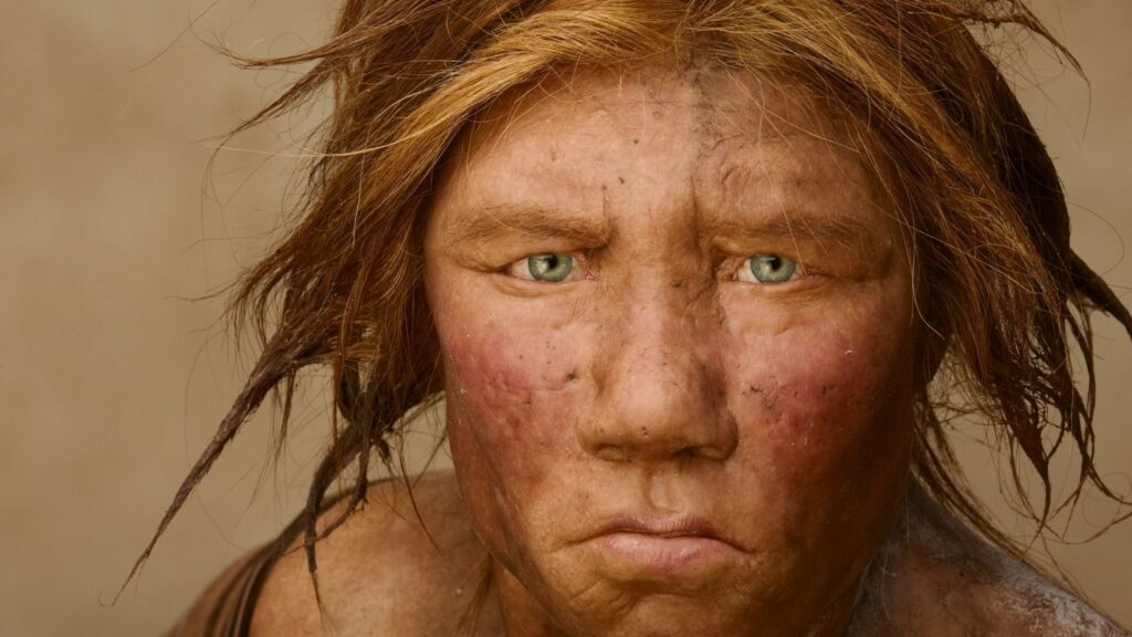 Rappresentazione artistica di Homo neanderthalensis.