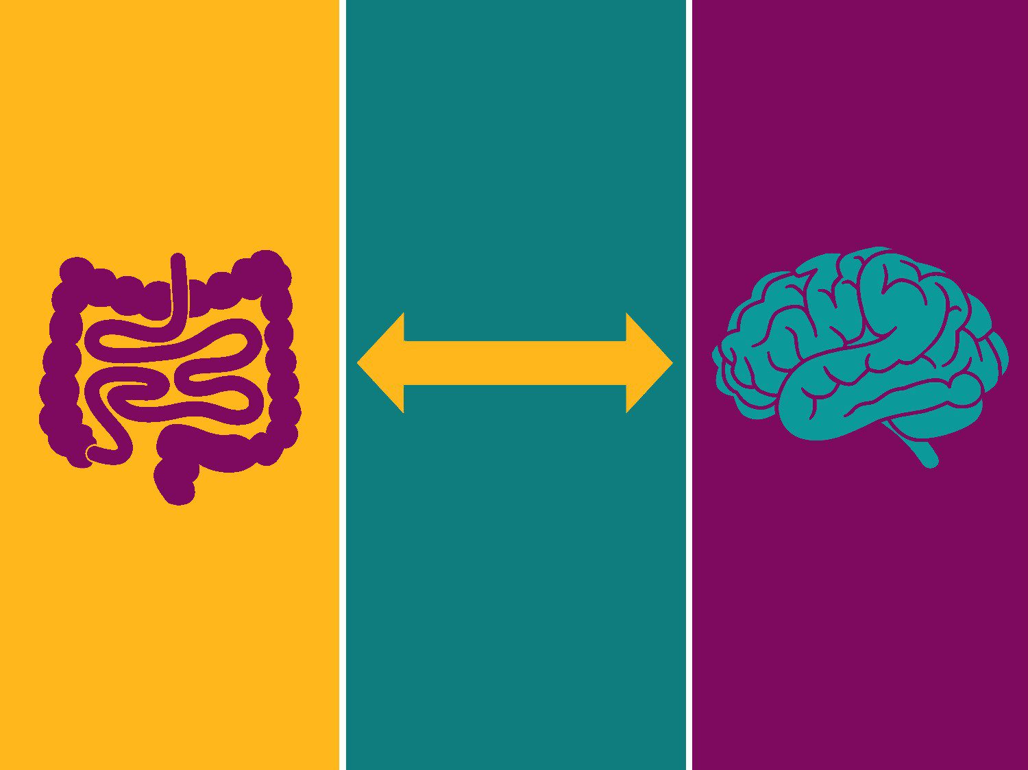 Stress E Sistema Immunitario Intestinale: L'Asse Intestino-Cervello