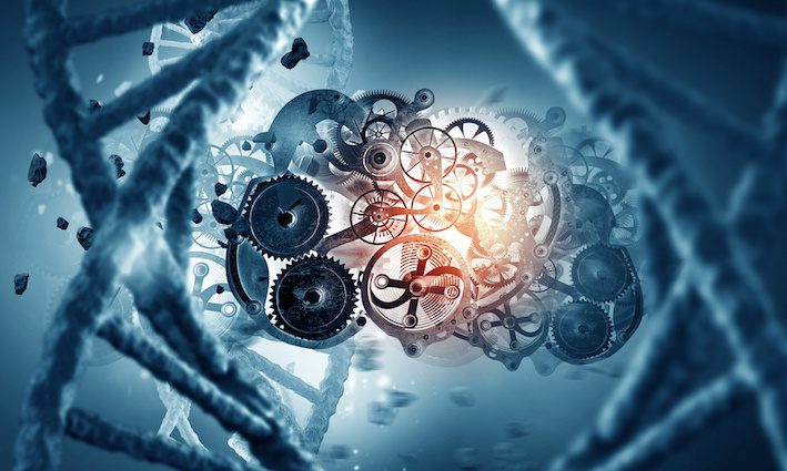 Ingegneria Genetica prospettive future