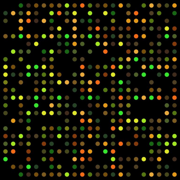 DNA-microarray