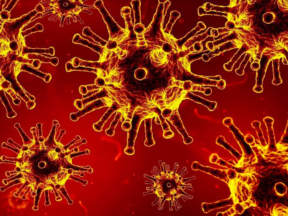 immunità e agenti infettanti