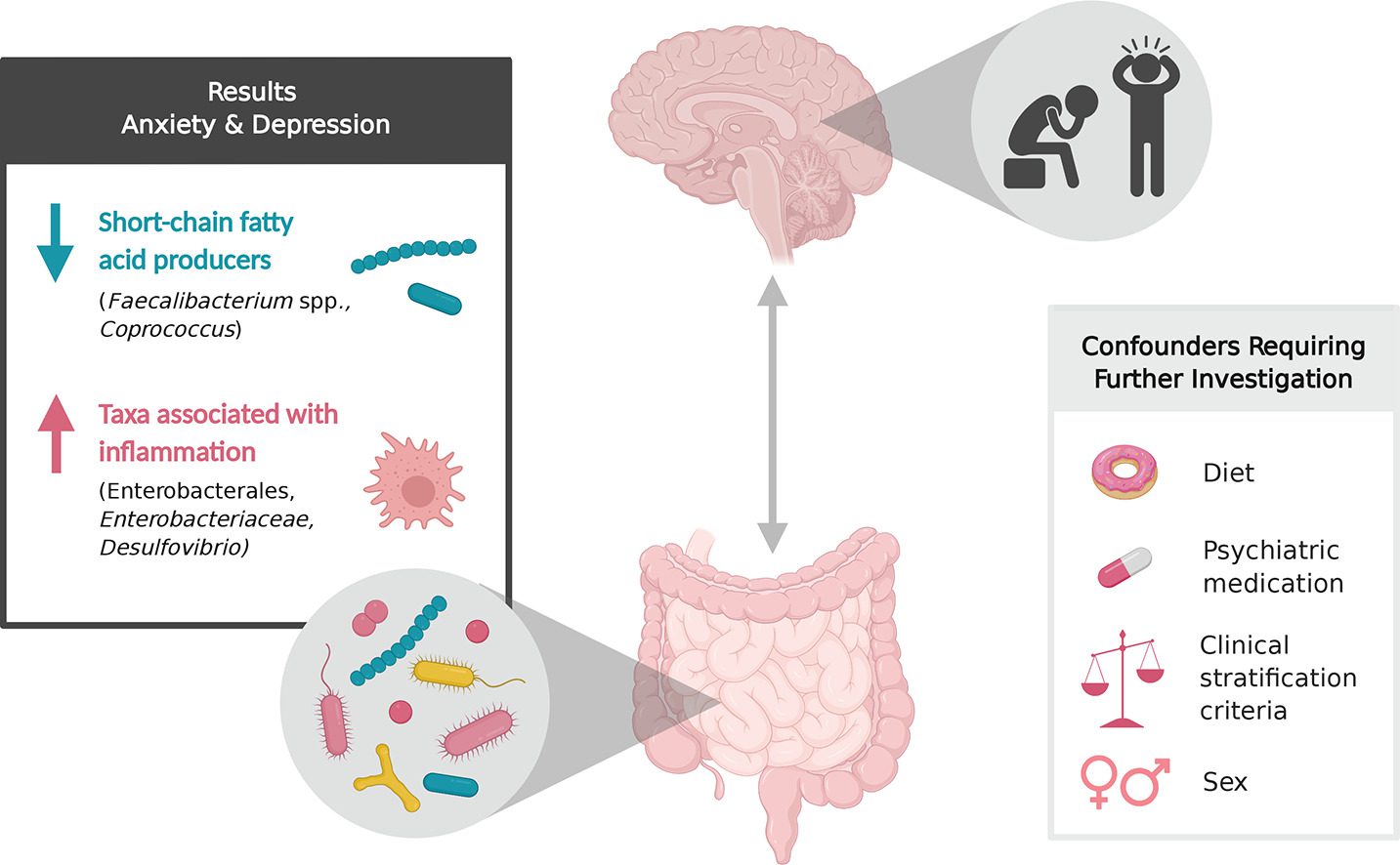 Comunicazione asse microbiota-intestino-cervello e  depressione [