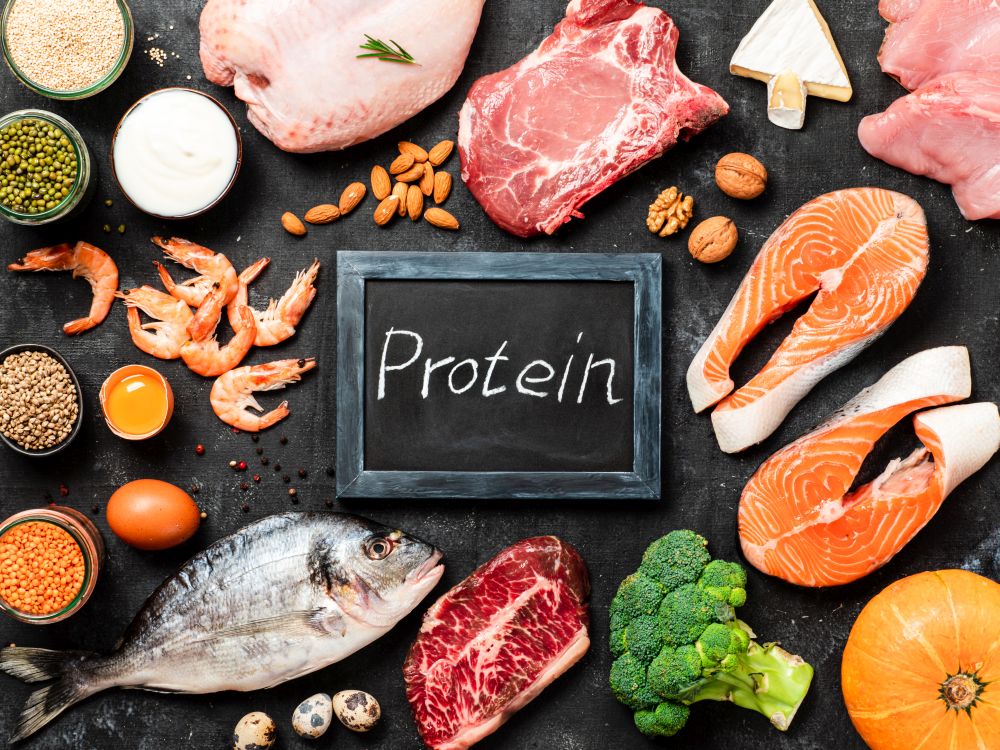 il Metabolismo delle Proteine