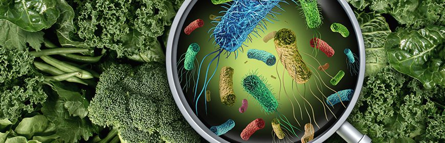 Microbi alimenti