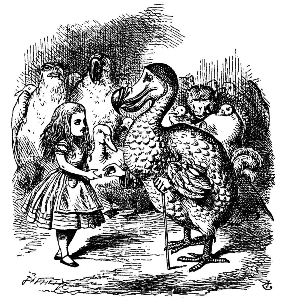 Alice e il dodo