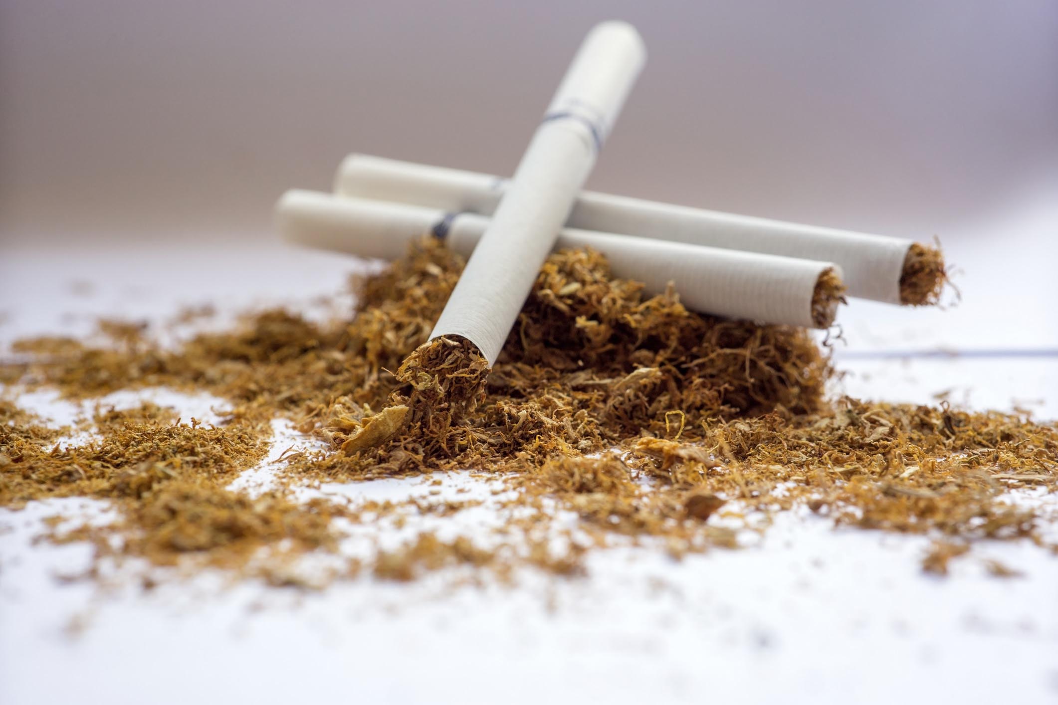 Effetti della Nicotina sul Nostro Corpo
