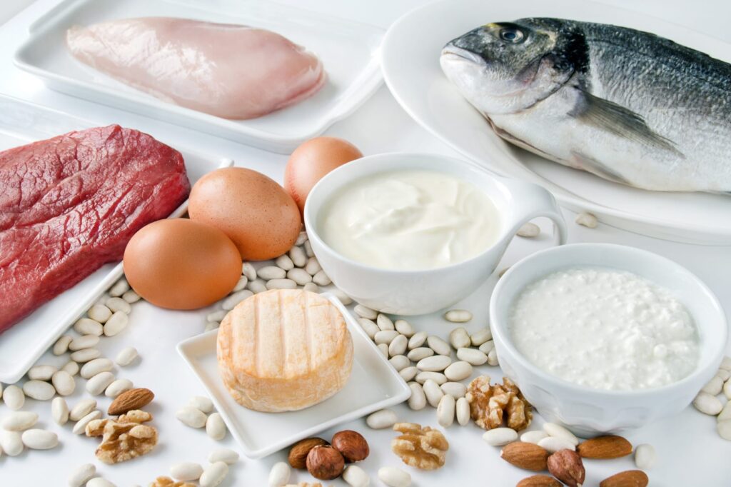 Alimentazione e sonno: il ruolo delle proteine animali e vegetali