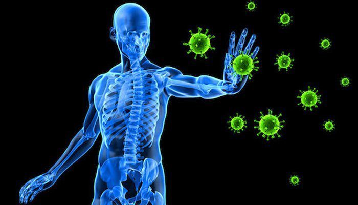 Allergie e Sistema Immunitario