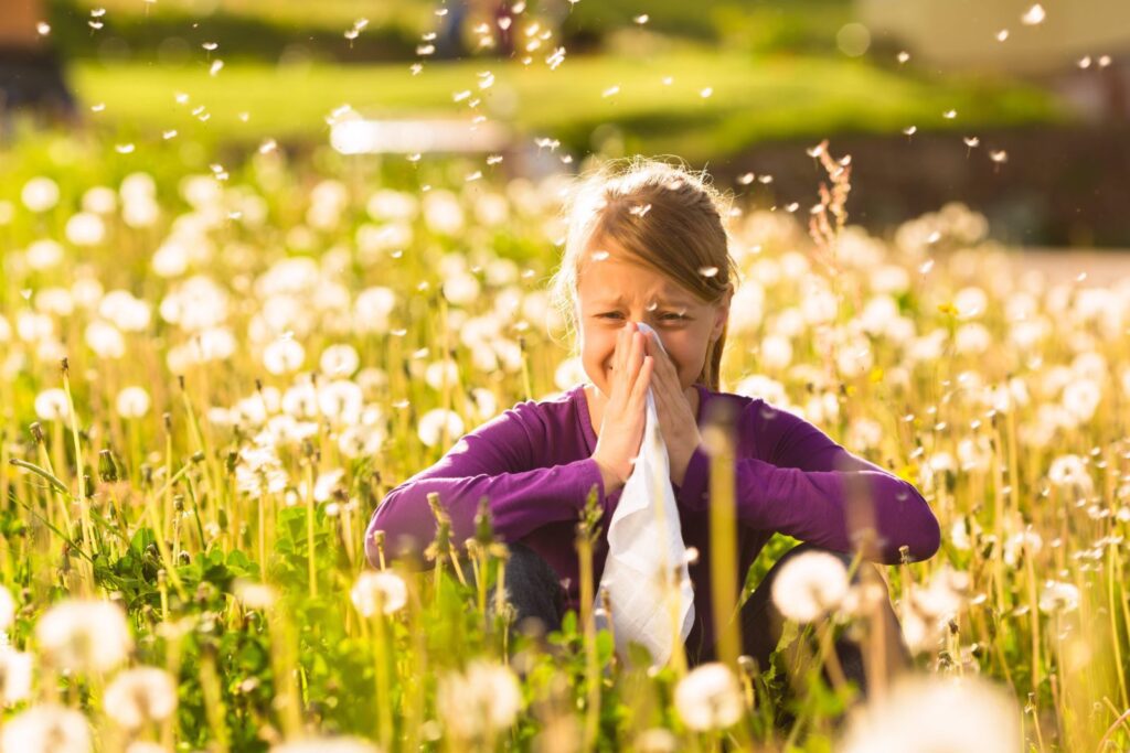 Le Allergie al Polline