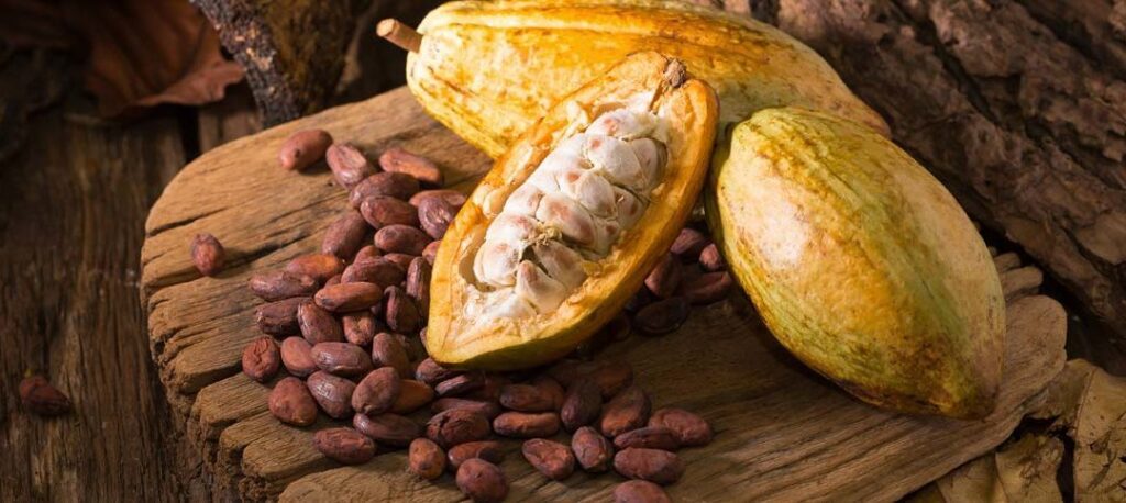 Allergie al Cacao