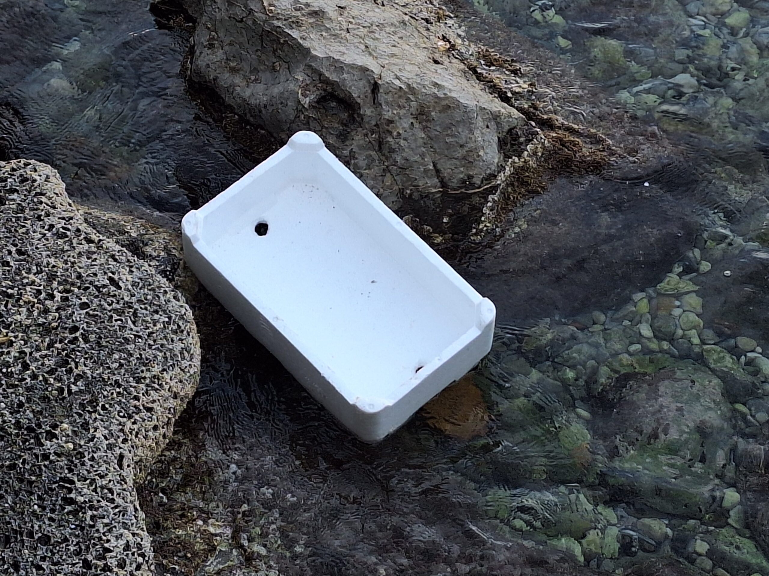 Nel mar Adriatico, le cassette per il pesce in polistirolo espanso rappresentano il 13% dei rifiuti di plastica galleggianti.