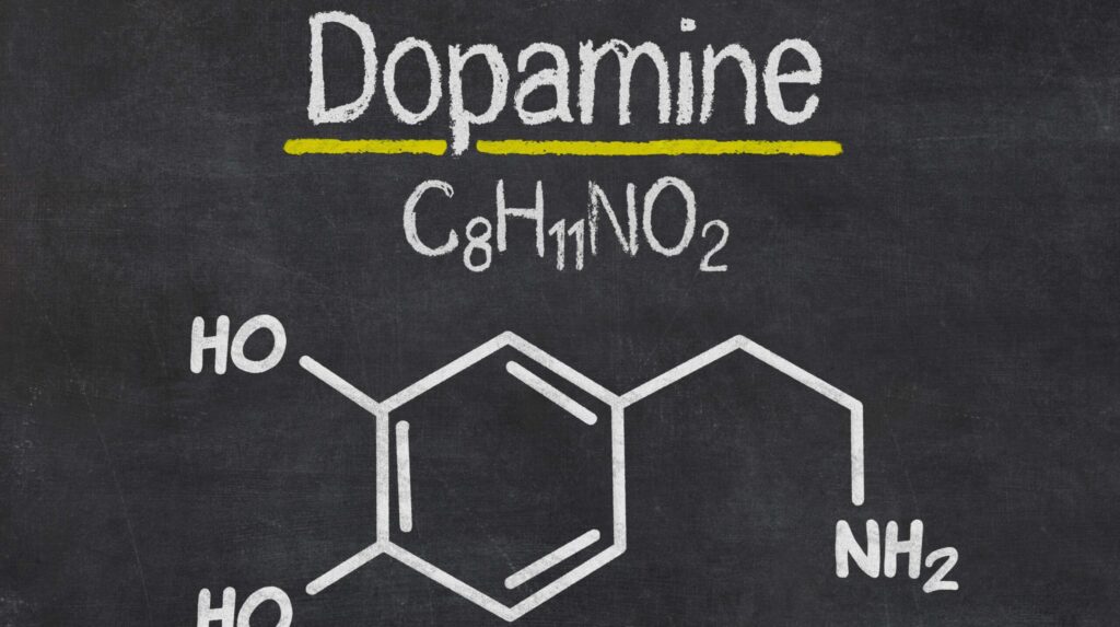Dopamina piacere