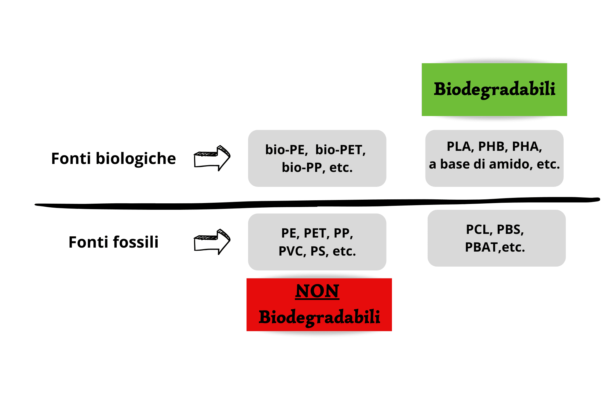 Il mondo delle bioplastiche. Le plastiche tradizionali sono solo di origine fossile e non biodegradabili; le bioplastiche, invece, possono derivare sia da fonti fossili che da fonti biologiche. L'origine biologica non ne garantisce necessariamente la biodegradazione. 