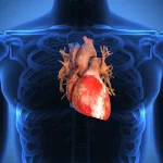 Quali sono le principali malattie del cuore?