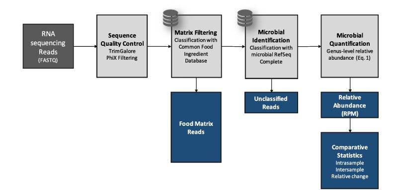 Diagramma di flusso tipico di un analisi Shotgun metagenomic