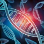 Quali sono le mutazioni genetiche più frequenti?