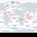 I principali gyres oceanici sul nostro pianeta. Nell'illustrazione sono rappresentate le correnti oceaniche calde (in rosso) e fredde (in blu).