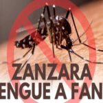 Dengue a Fano