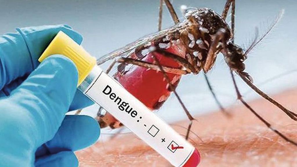 Maxi focolaio di Dengue a Fano