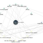 Food web della volpe rossa, Vulpes vulpes. Ogni specie è collegata ai suoi predatori e alle sue prede. [Fonte: https://eol.org/pages/328609]