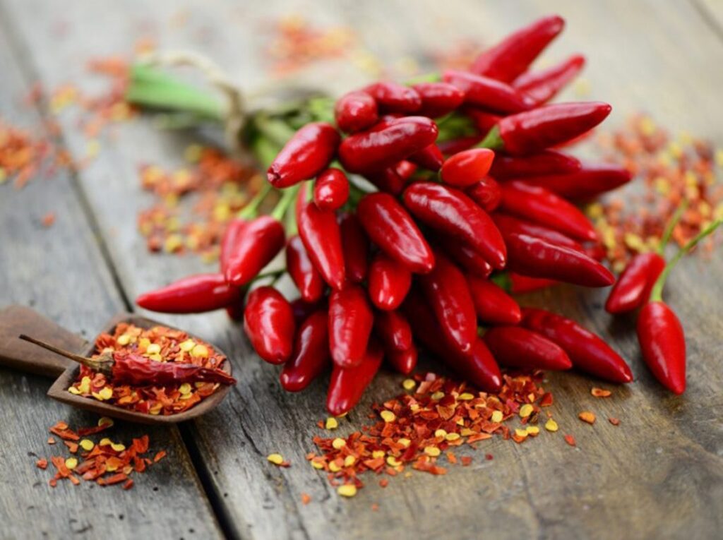 Peperoncino ed Effetti sul Metabolismo: Benefici, Meccanismi e Consigli