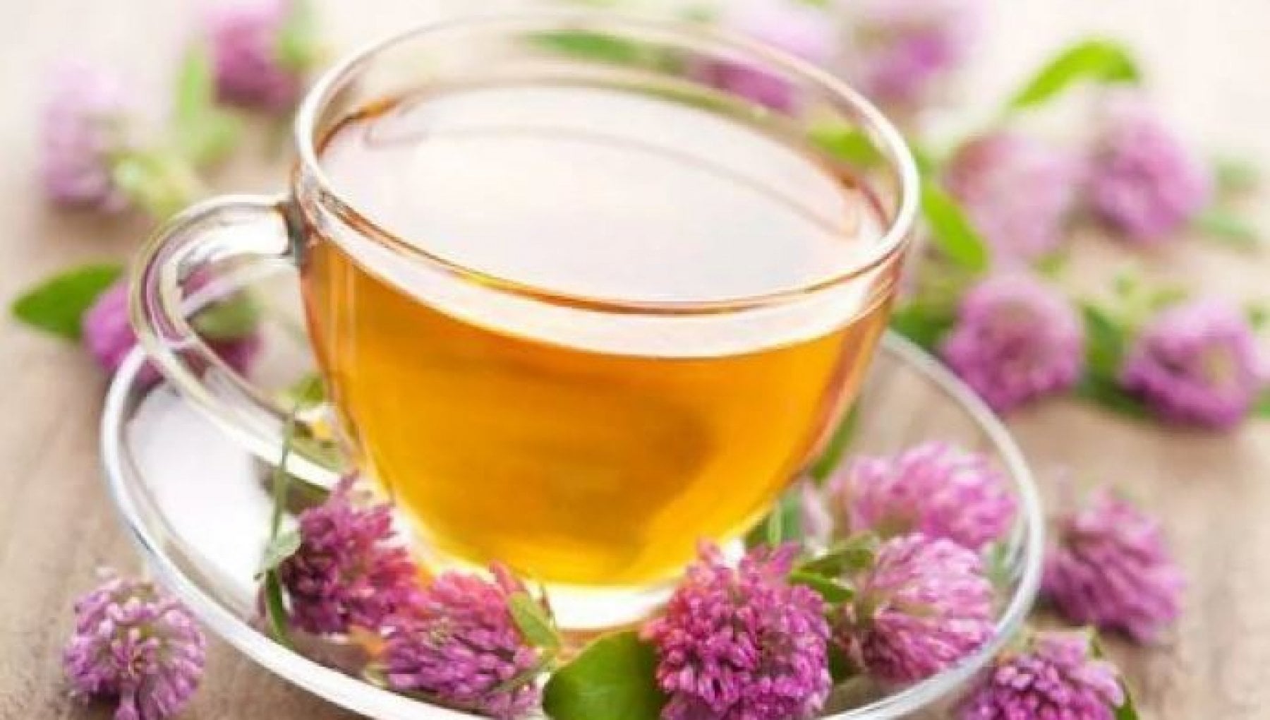 Tisane Dimagranti: Erbe per Favorire la Perdita di Peso