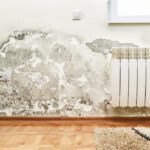 Umidità in casa: cause, effetti e soluzioni