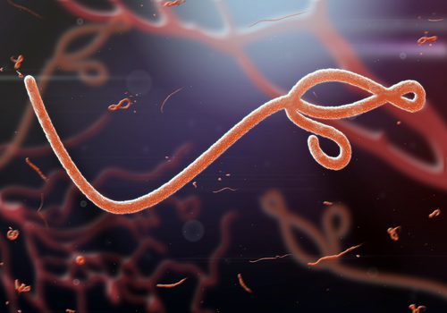 Come capire se si ha l'ebola?